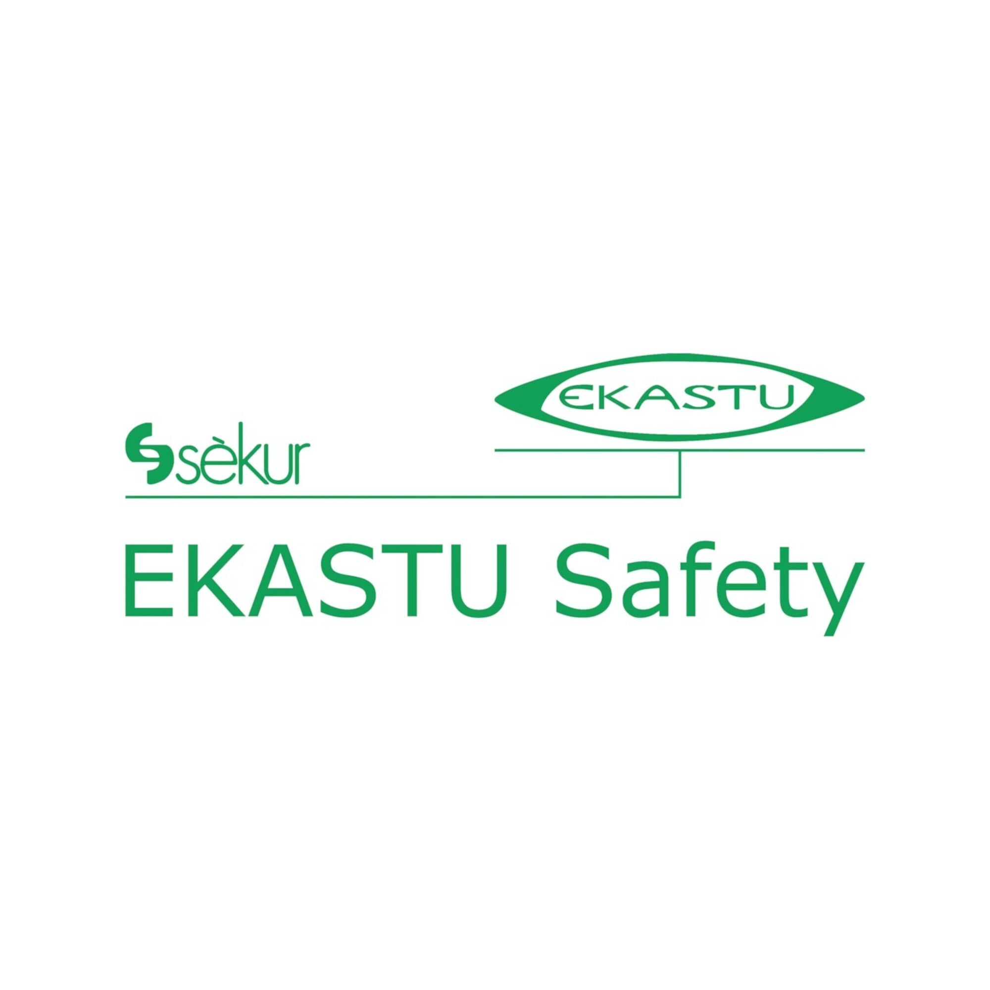 Ekastu Vollmaske C 607/Selecta (Klasse 2)