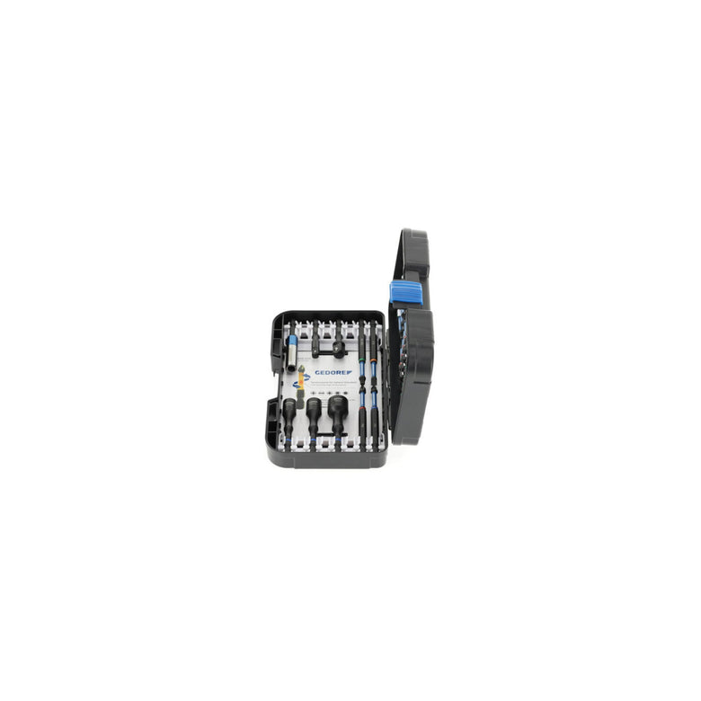 Gedore 666-042 Torsionsbit-Satz SL+PR+PH+PZ+TX 42-teilig