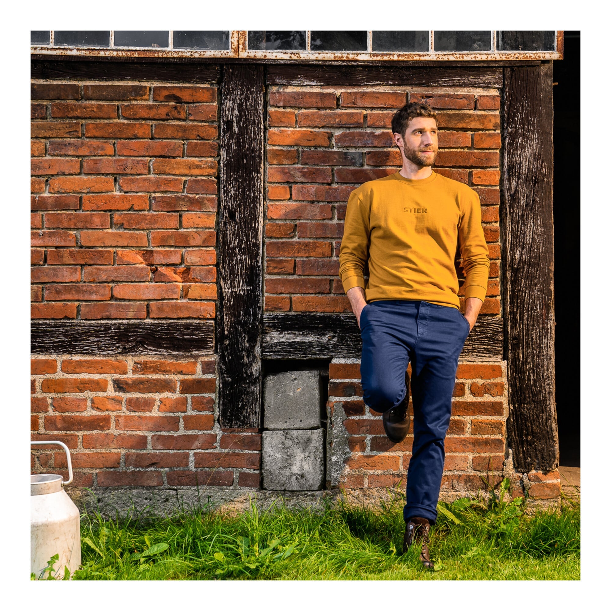 STIER Crew Sweat Style Embro L Golden Brown