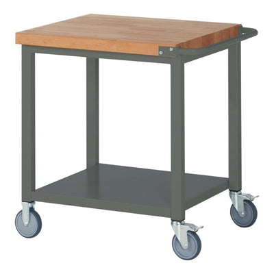 STIER Fahrbare Werkbank Premium mit Ablageboden BxTxH 750x700x880 mm