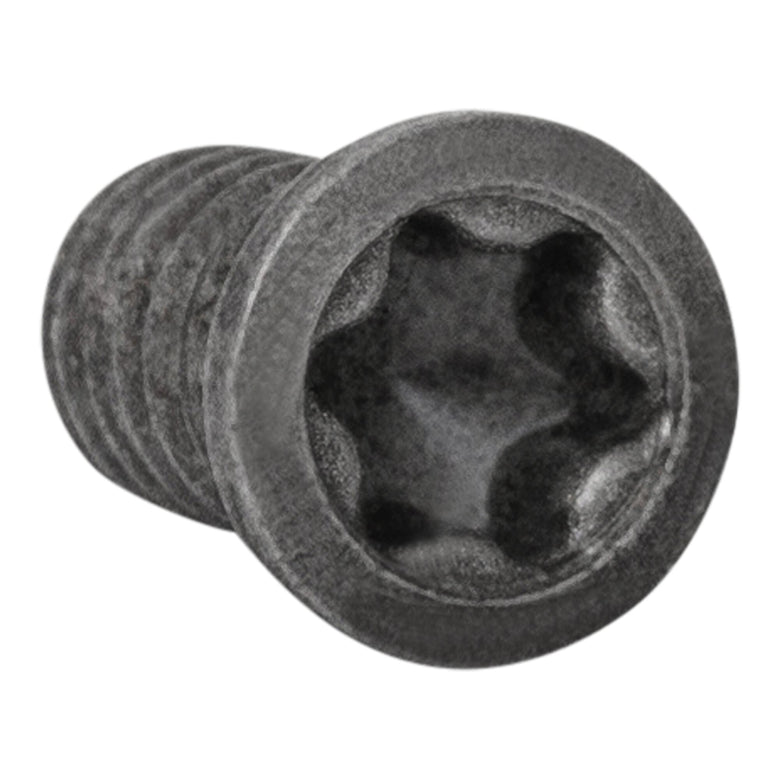 STIER Spannschraube VT25 B (M2,5X5,5 T08) Torx Schraube
