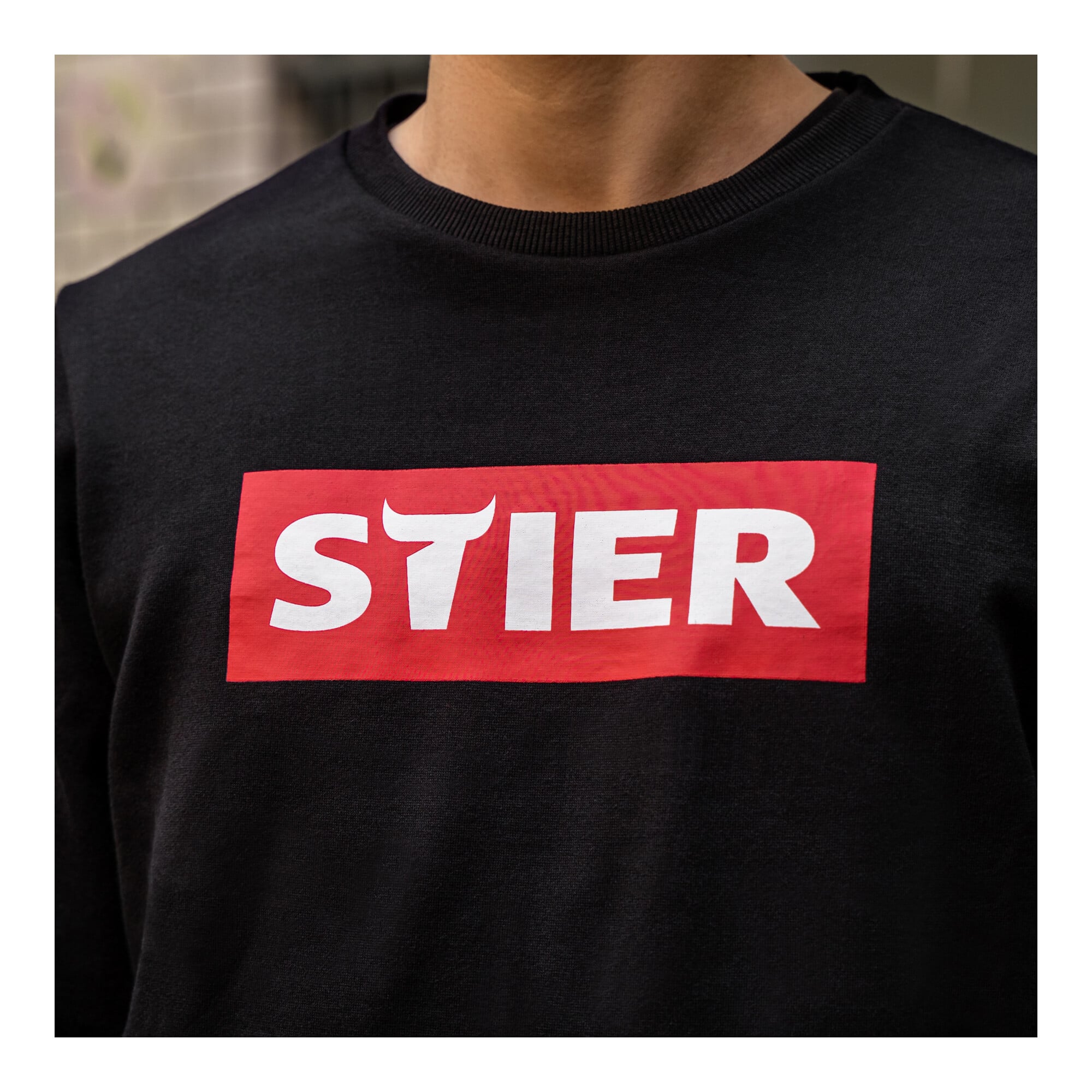 STIER Sweater various models, sizes S-XXL, unisex, 80% cotton, comfortable cut