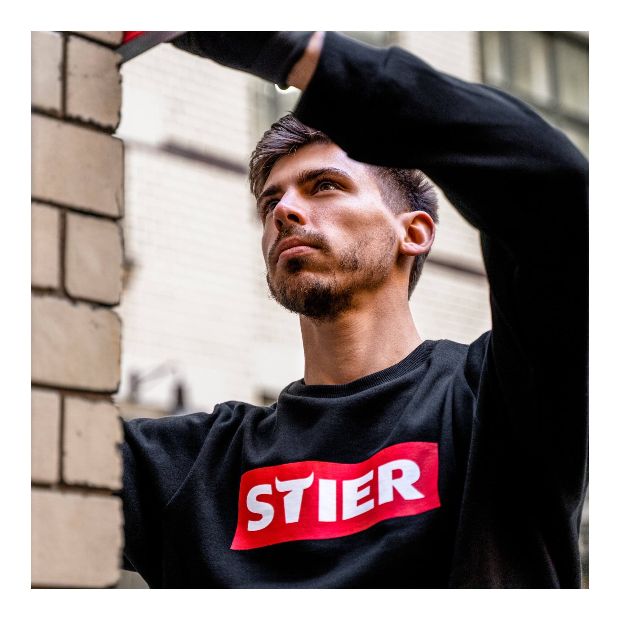 STIER Sweater various models, sizes S-XXL, unisex, 80% cotton, comfortable cut